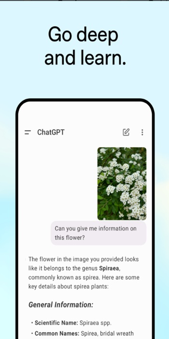 ChatGPT APK